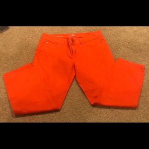 Orange Crop Loft Pants